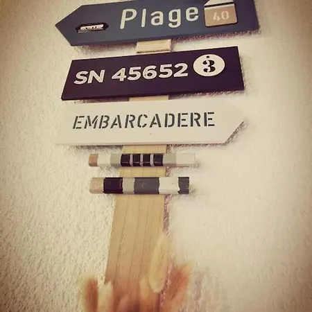 アパート Les Pins Dans L'eau カルカン