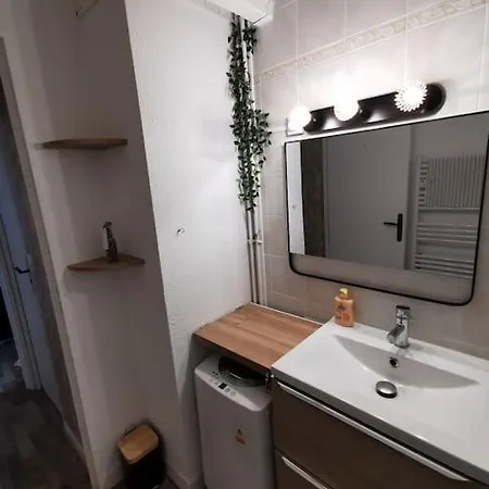 Les Pins Dans L'eau Apartment Carcans