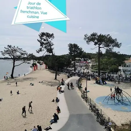 Les Pins Dans L'eau * Carcans