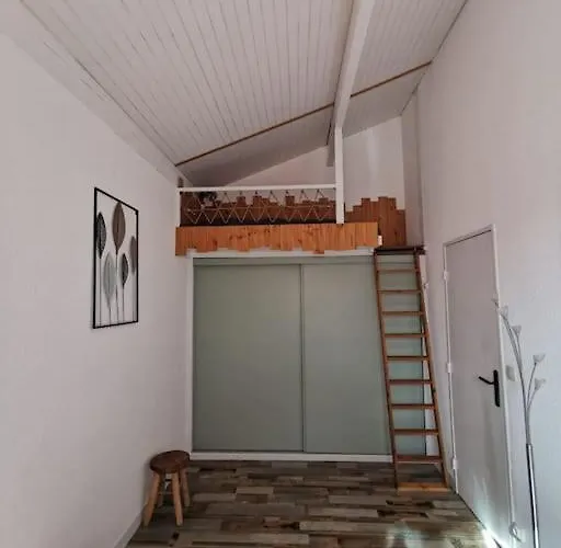 Les Pins Dans L'eau Carcans