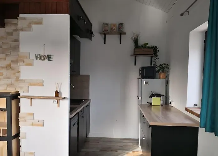 Les Pins Dans L'eau * Carcans