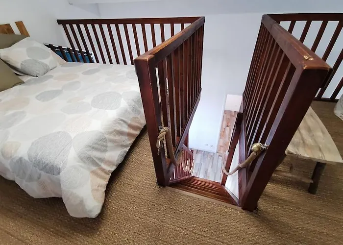 Les Pins Dans L'eau * Carcans