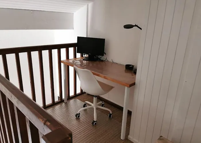 Les Pins Dans L'eau Carcans