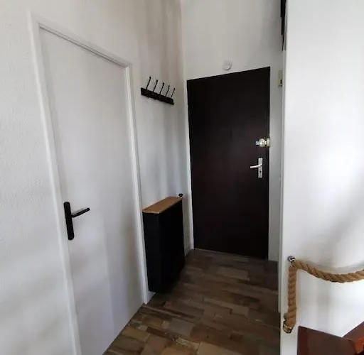 Les Pins Dans L'eau *